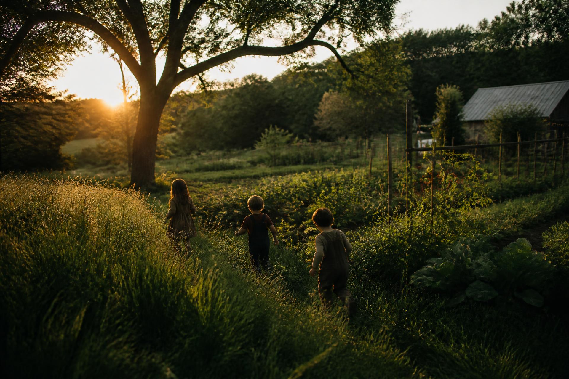 Children exploring a nature-centered outdoor environment at golden hour